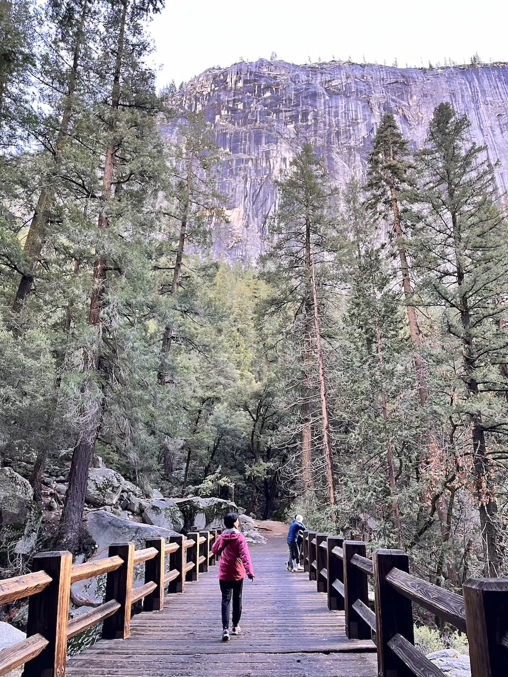 アメリカ ロードトリップ 世界一周 夫婦 旅 バックパッカー 横断