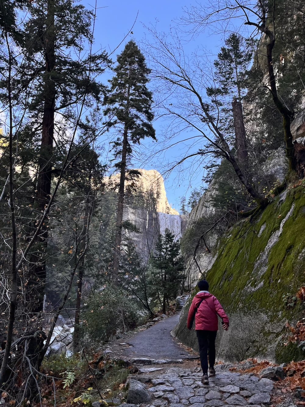 アメリカ ロードトリップ 世界一周 夫婦 旅 バックパッカー 横断