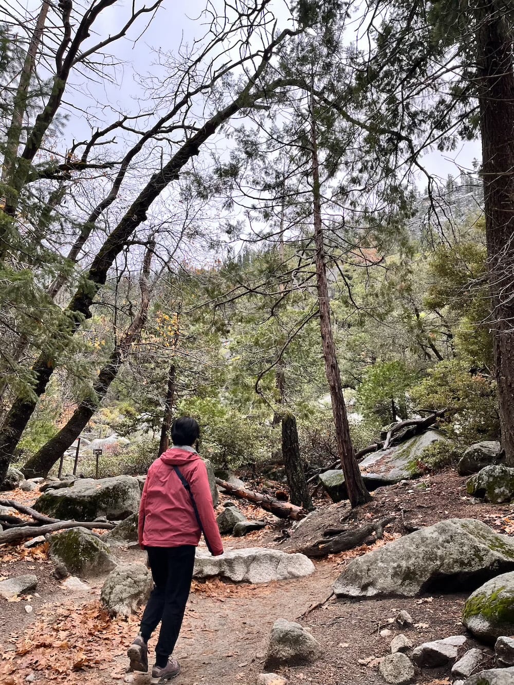 アメリカ ロードトリップ 世界一周 夫婦 旅 バックパッカー 横断