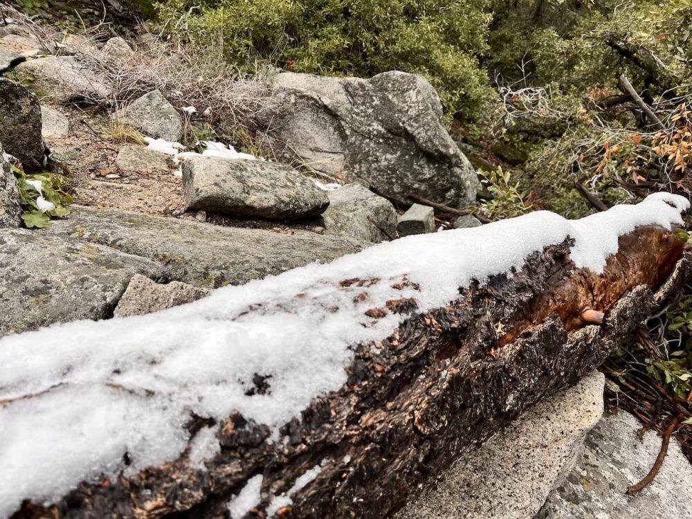 アメリカ ロードトリップ 世界一周 夫婦 旅 バックパッカー 横断