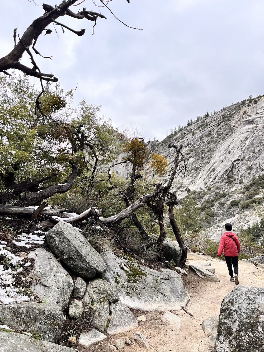 アメリカ ロードトリップ 世界一周 夫婦 旅 バックパッカー 横断