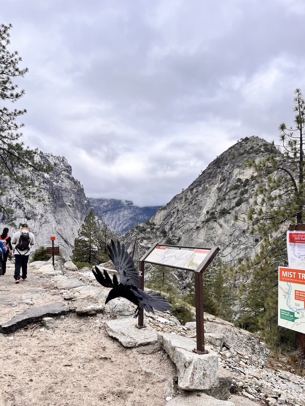 アメリカ ロードトリップ 世界一周 夫婦 旅 バックパッカー 横断