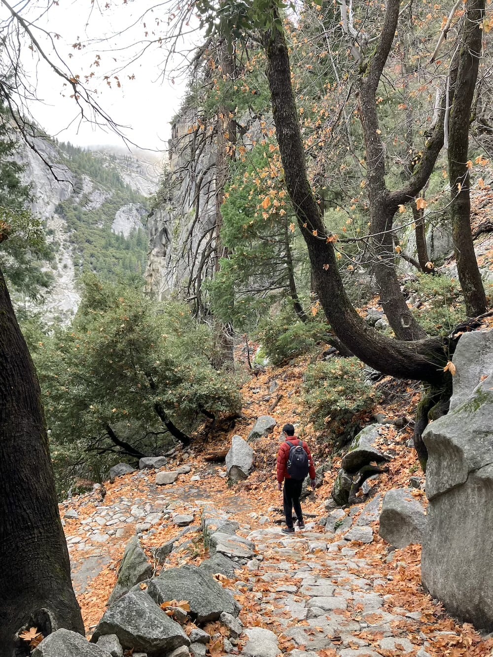 アメリカ ロードトリップ 世界一周 夫婦 旅 バックパッカー 横断
