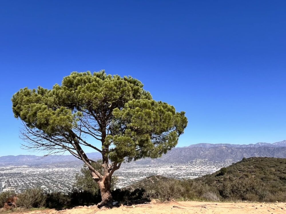 アメリカ　ロードトリップ　世界一周　夫婦　旅　バックパッカー　　横断