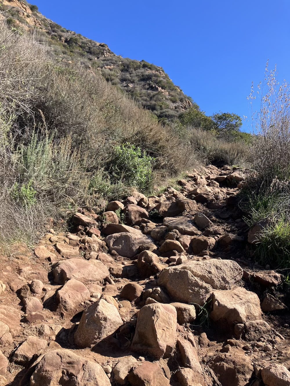 アメリカ　ロードトリップ　世界一周　夫婦　旅　バックパッカー　　横断