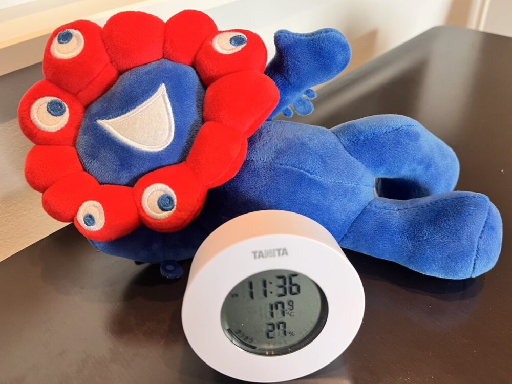 世界一周　その後　移住　北海道