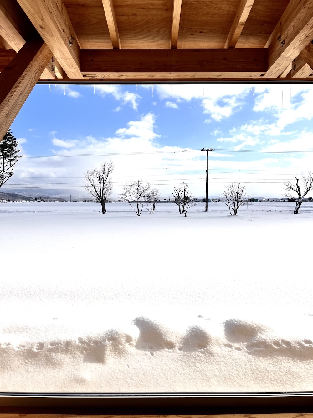 世界一周 その後 移住 北海道