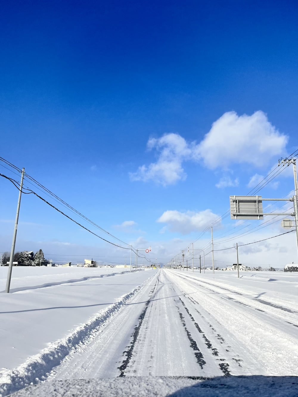 世界一周　その後　移住　北海道