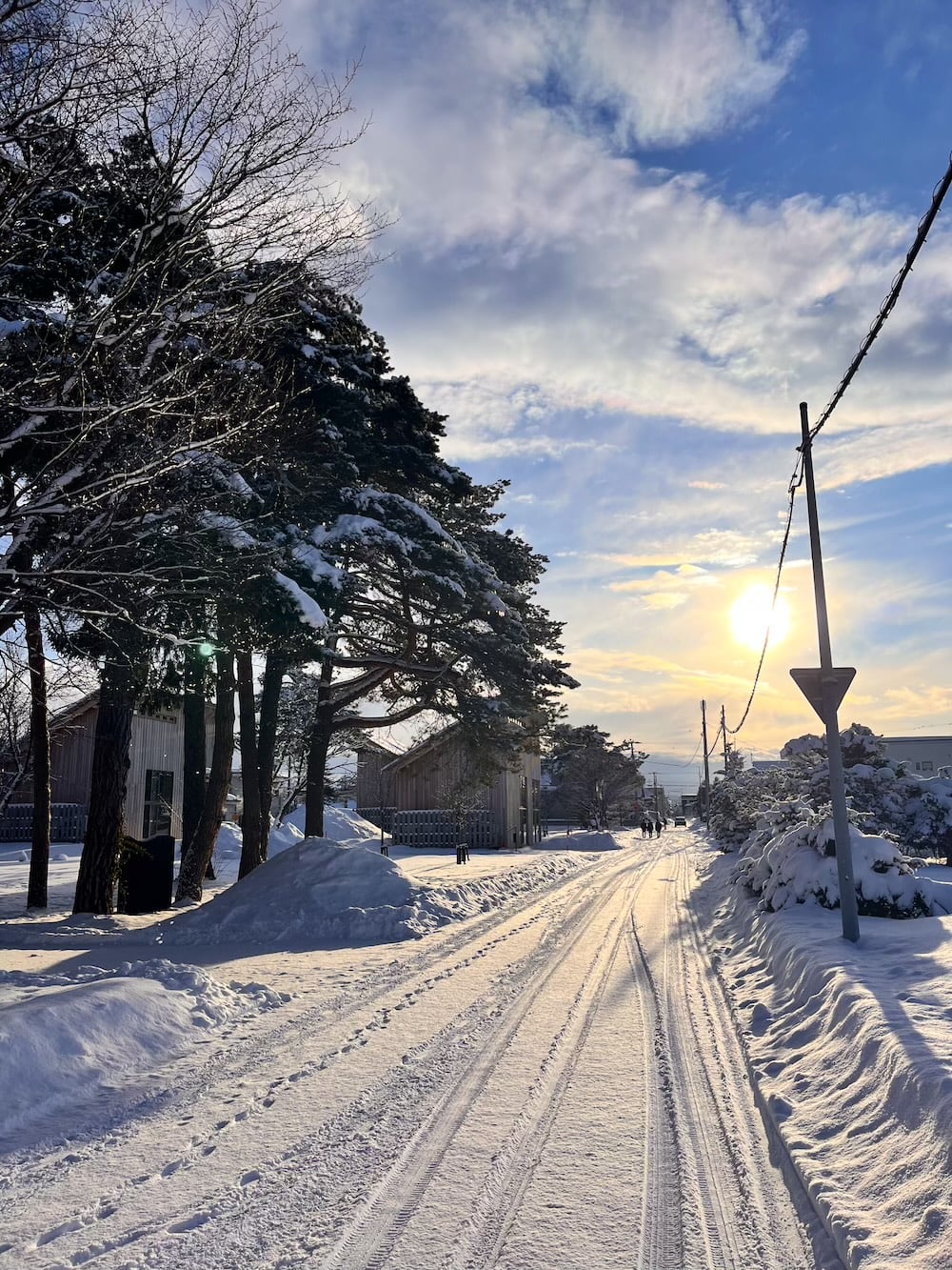世界一周　その後　移住　北海道