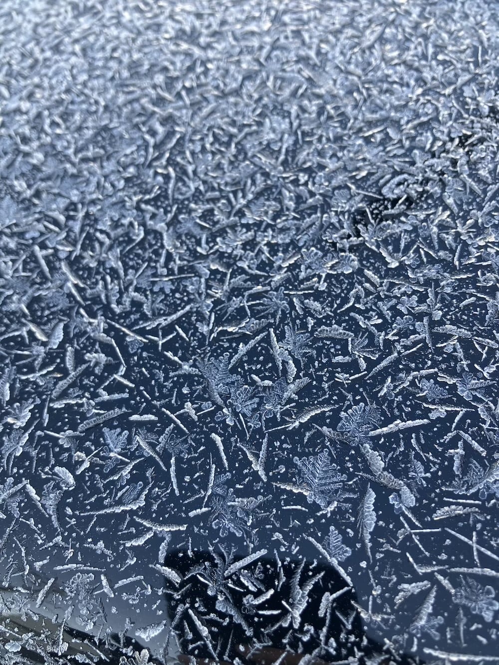 世界一周　その後　移住　北海道