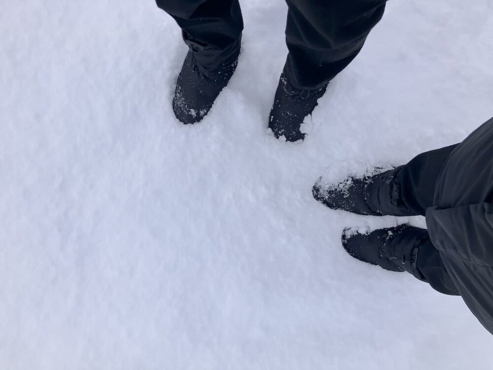 世界一周　その後　移住　北海道