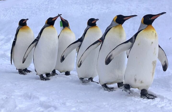 世界一周　その後　移住　北海道