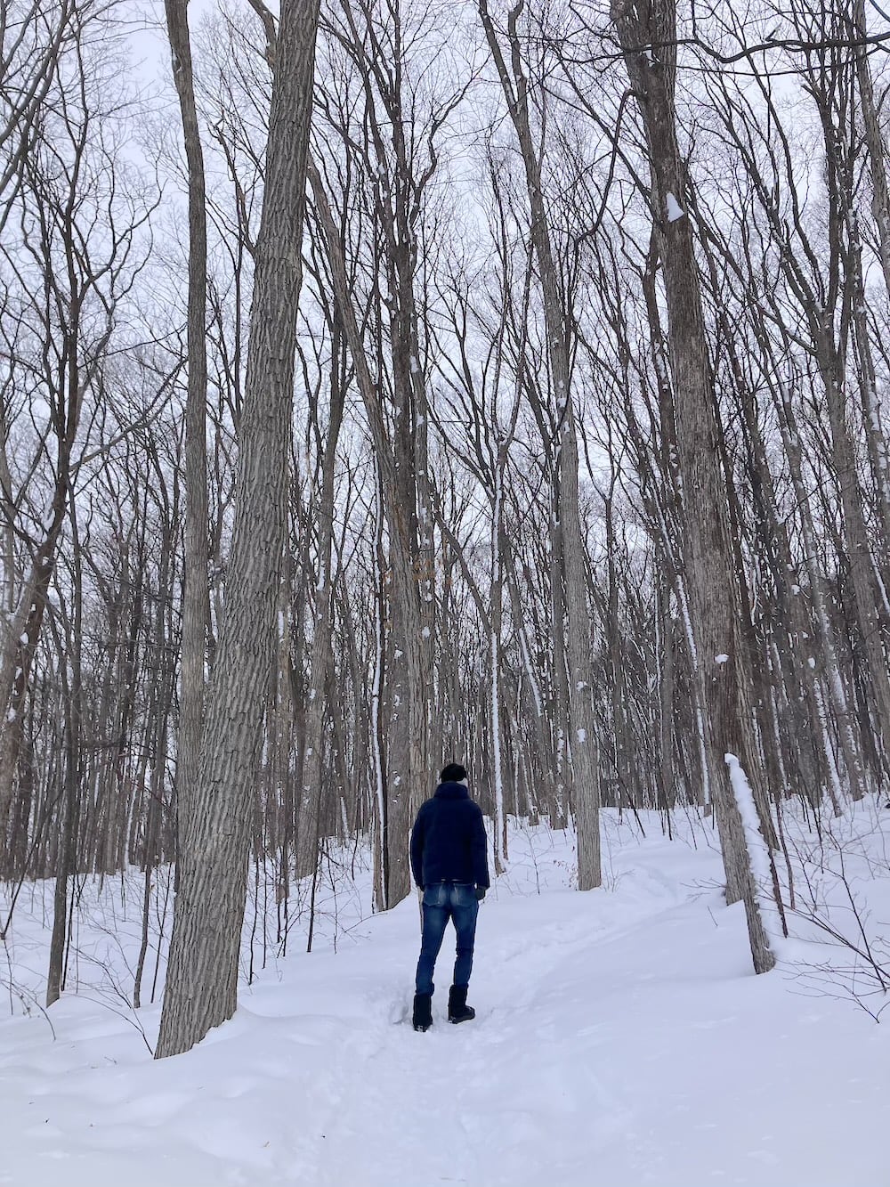 世界一周　その後　移住　北海道