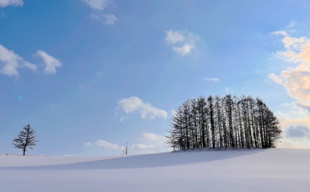世界一周　その後　移住　北海道