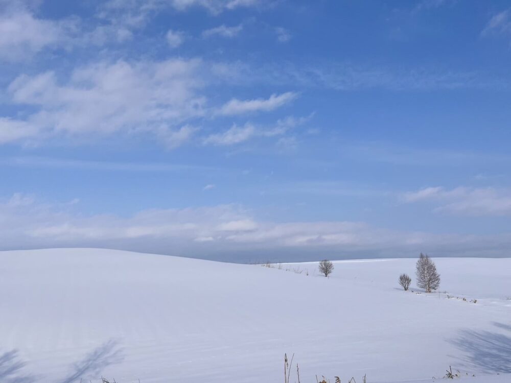 世界一周　その後　移住　北海道