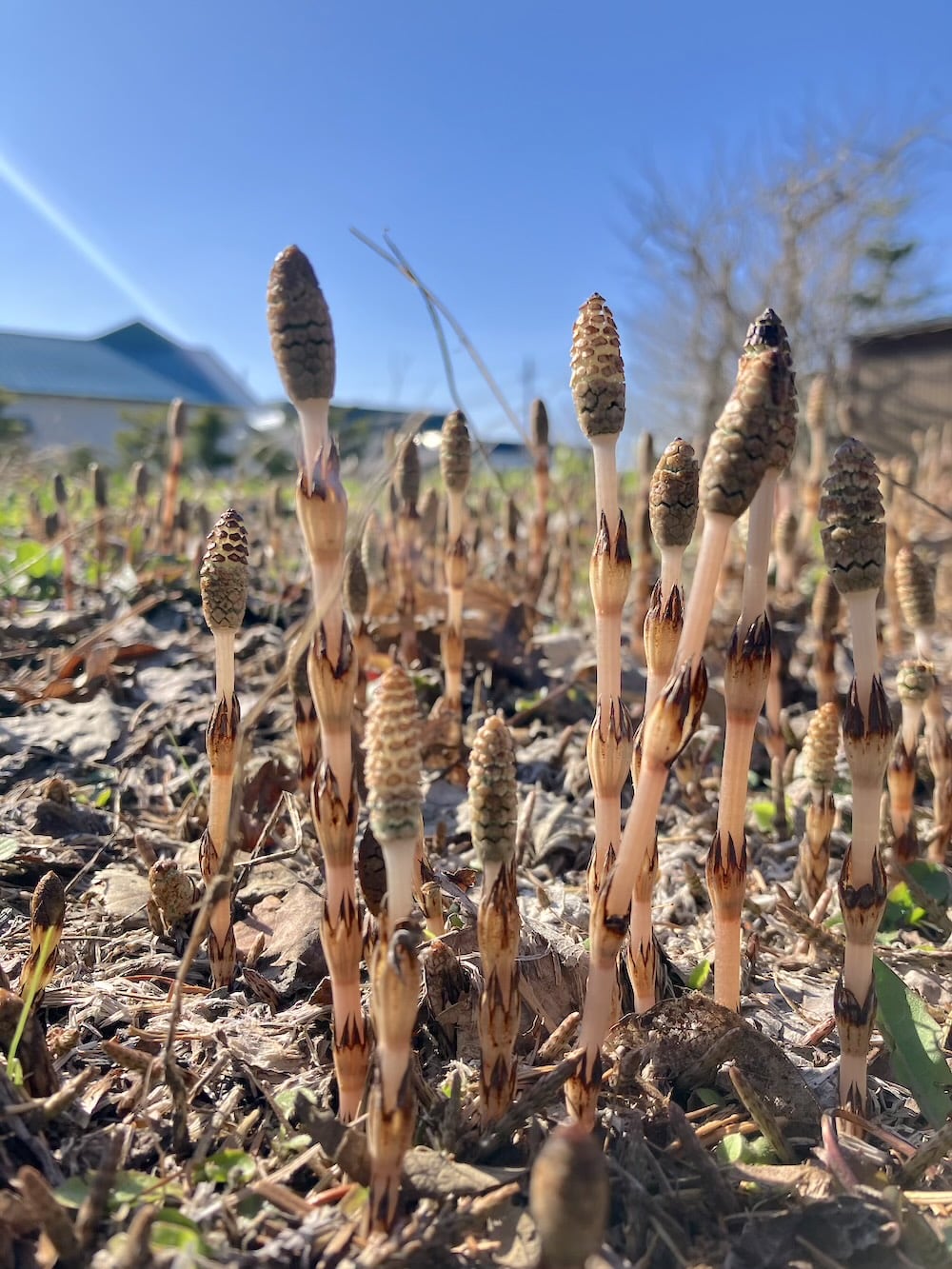 世界一周 その後 移住 北海道