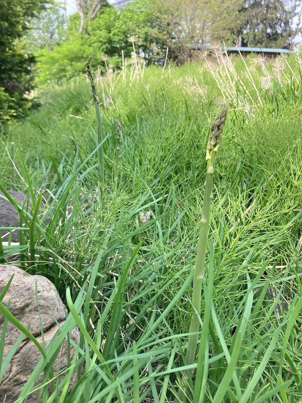 世界一周 その後 移住 北海道