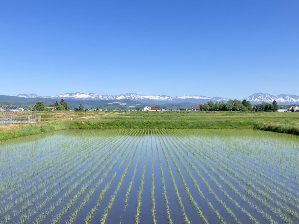 世界一周 その後 移住 北海道