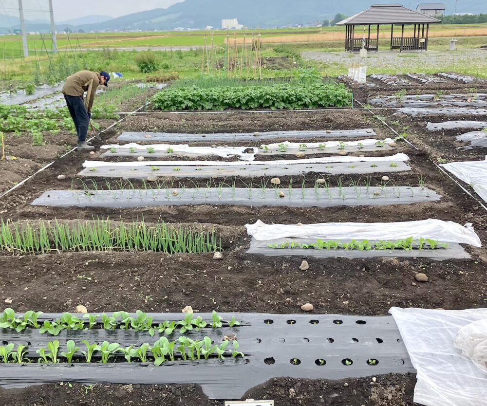 世界一周 その後 移住 北海道