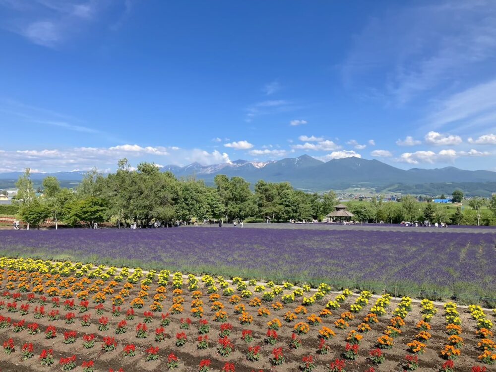 世界一周 その後 移住 北海道