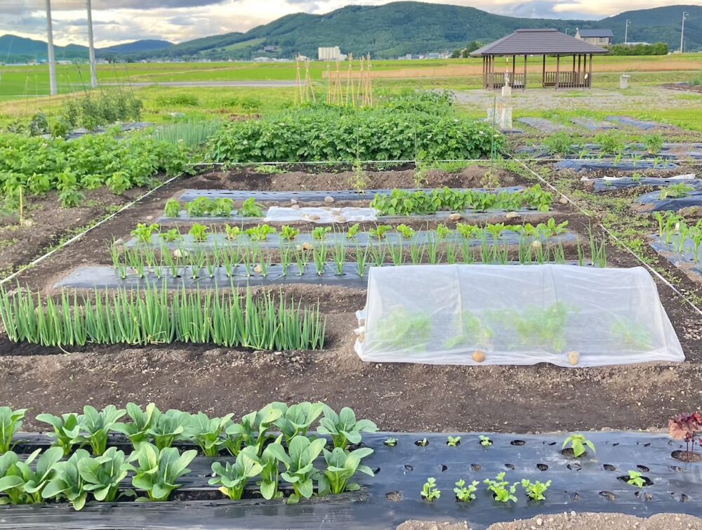 世界一周 その後 移住 北海道