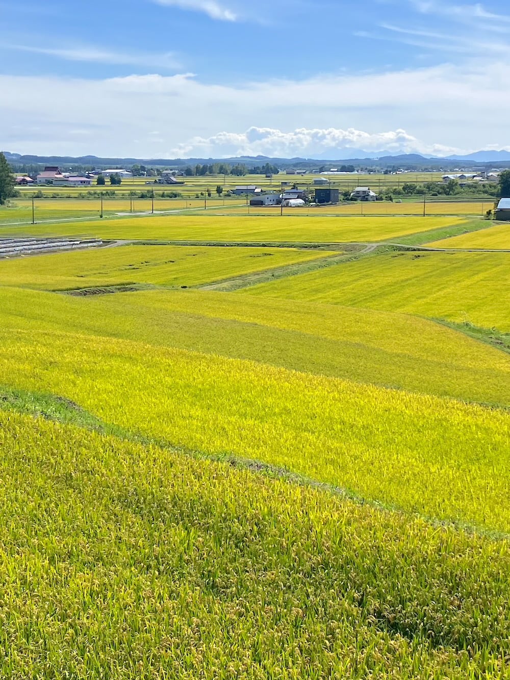 世界一周 その後 移住 北海道