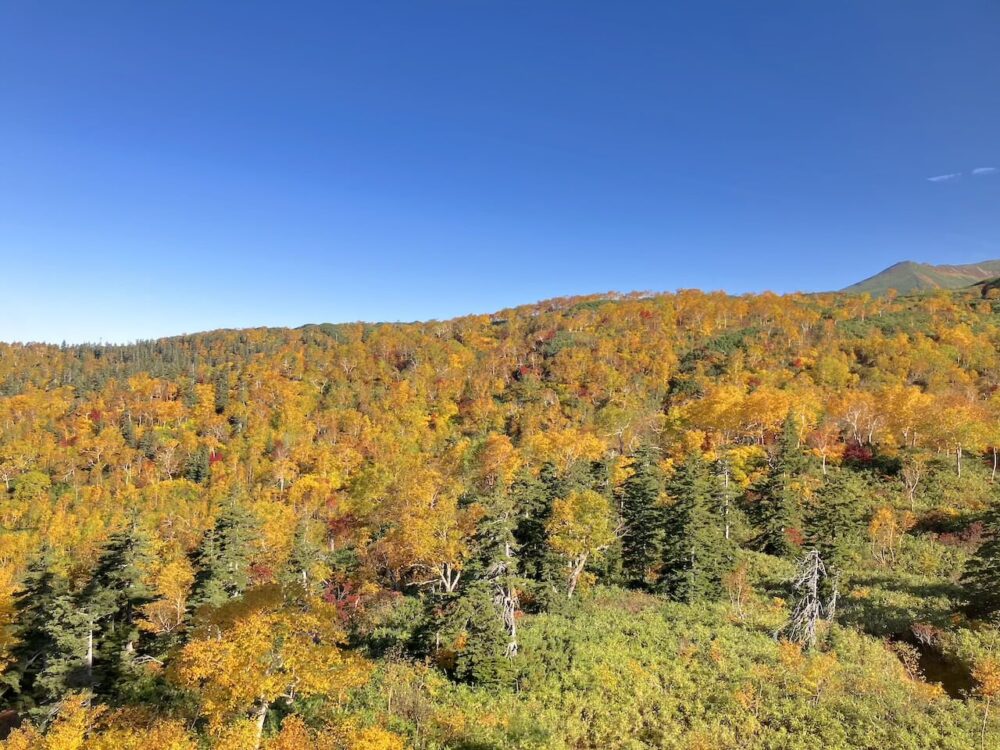 世界一周 その後 移住 北海道