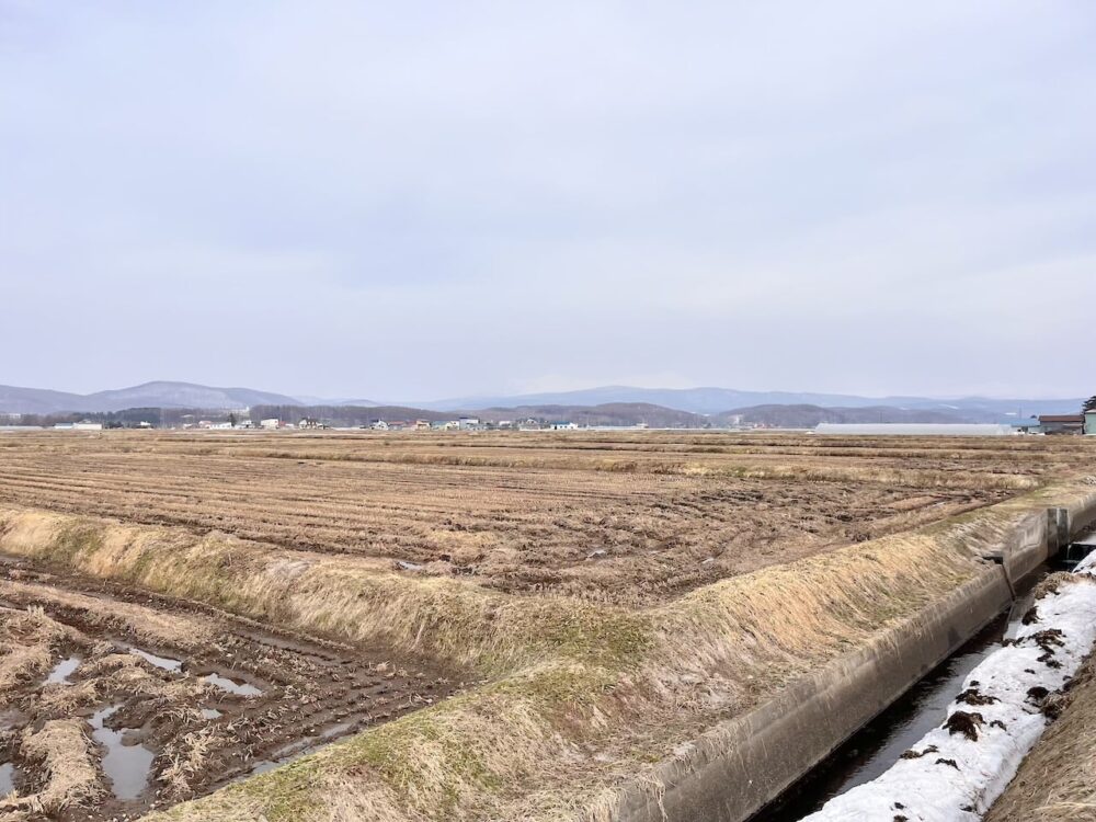 世界一周 その後 移住 北海道