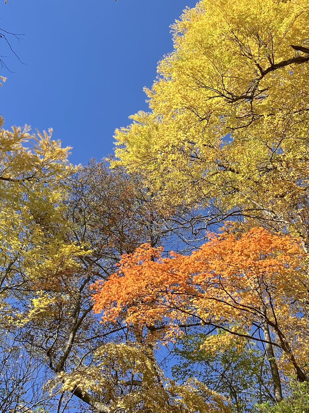 世界一周 その後 移住 北海道