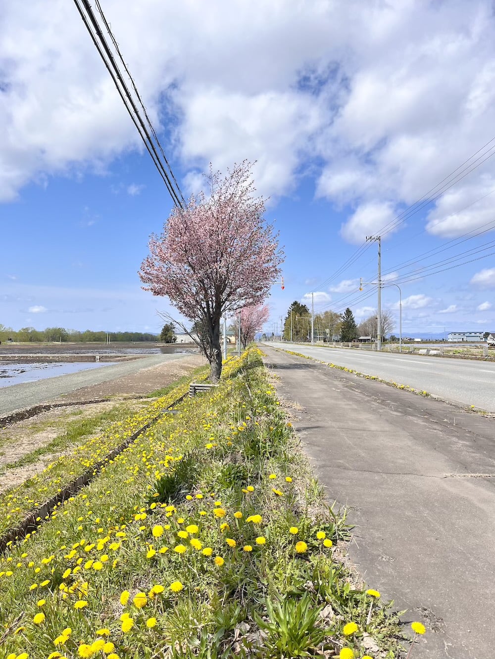 世界一周 その後 移住 北海道