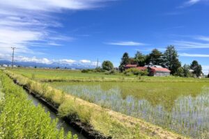世界一周　その後　移住　北海道
