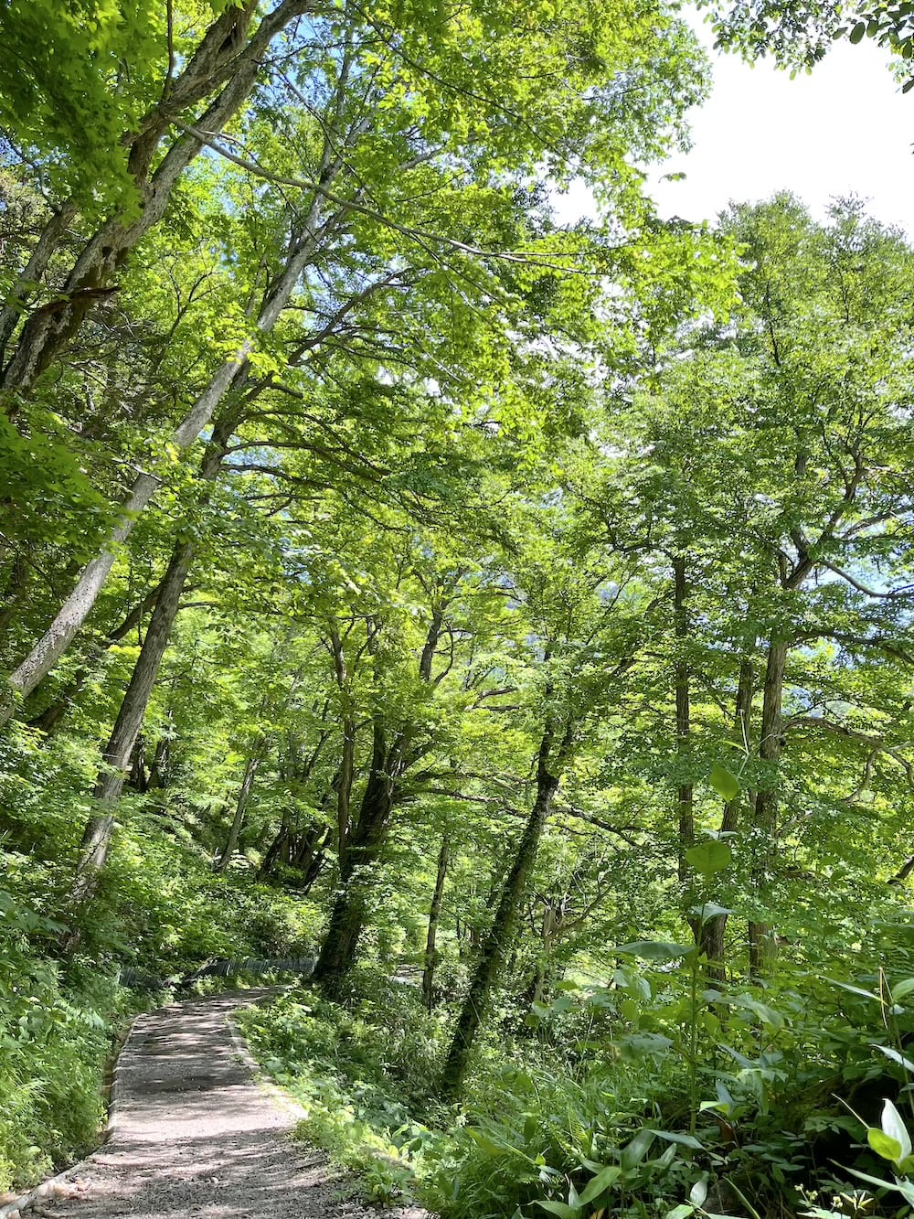 世界一周 その後 移住 北海道
